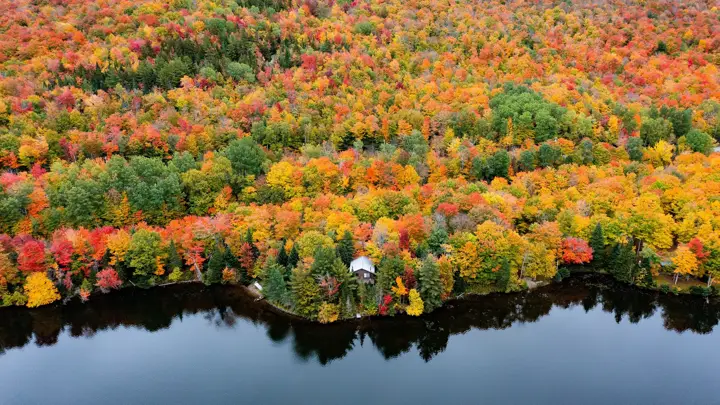 Fall foliage around Norton Pond in Vermont's Northeast Kingdom