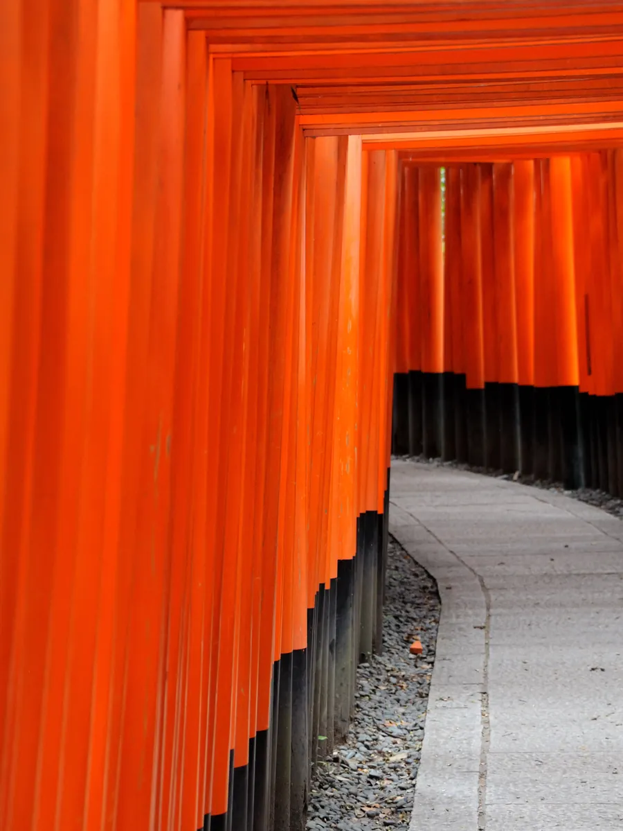 Senbon torii gates at Fushimi Inari shrine, Kyoto